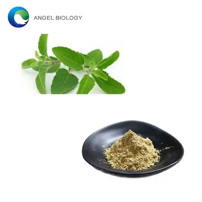 Holy Basil Extract Powder